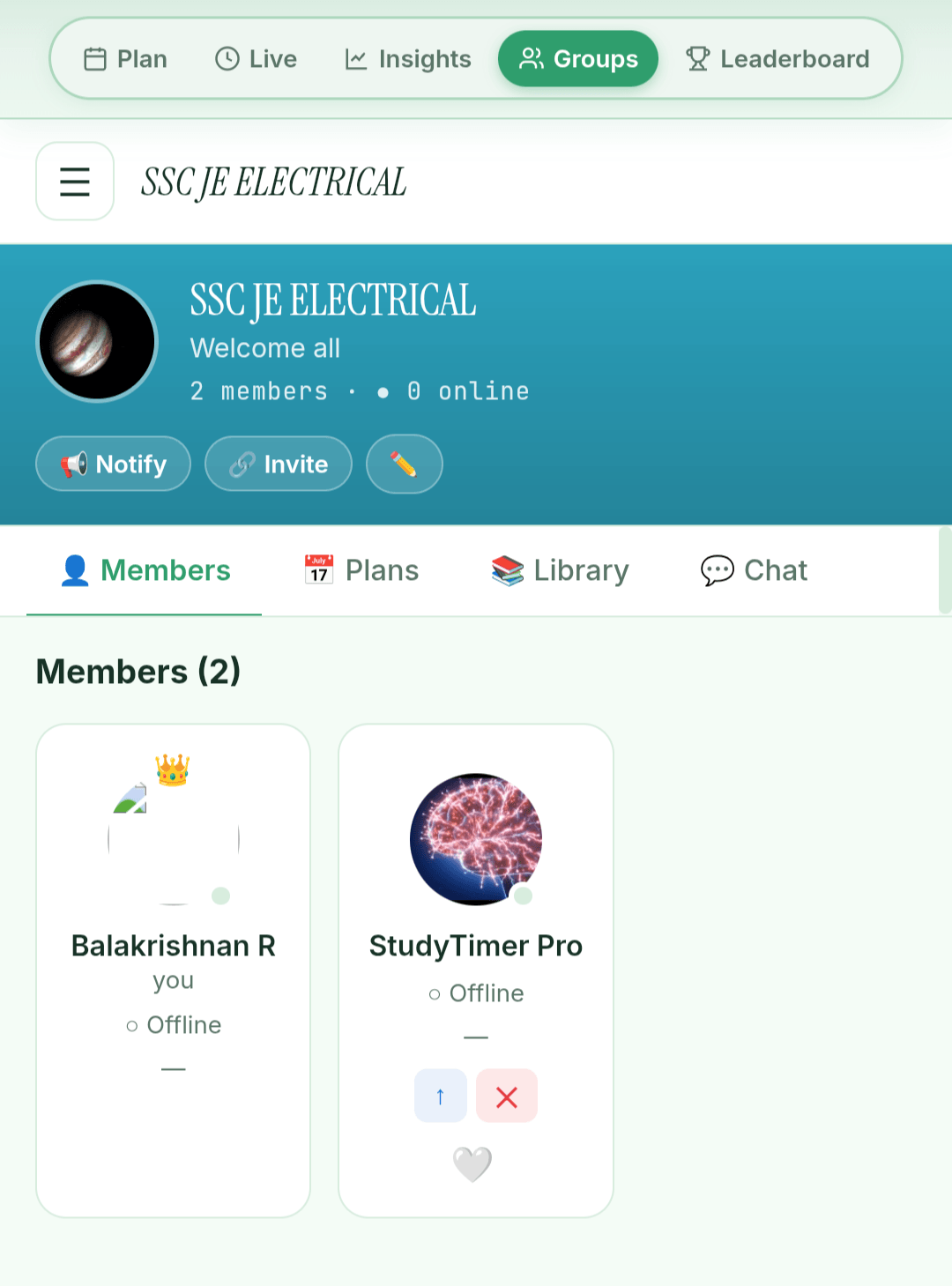 Group view — chat + members